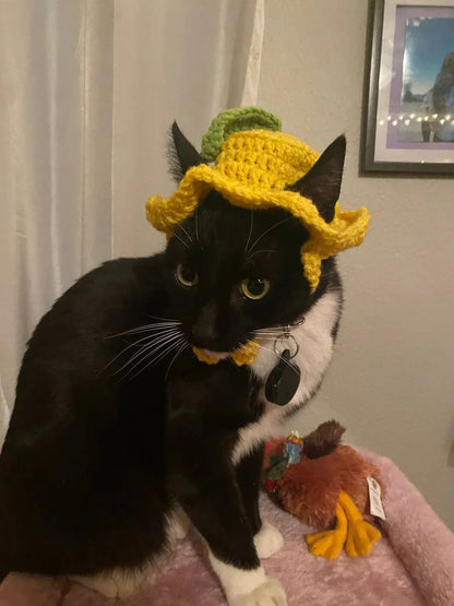 Handmade Crochet Cat Hat – Cute, Warm & Comfortable Pet Accessory - Eazzy Store