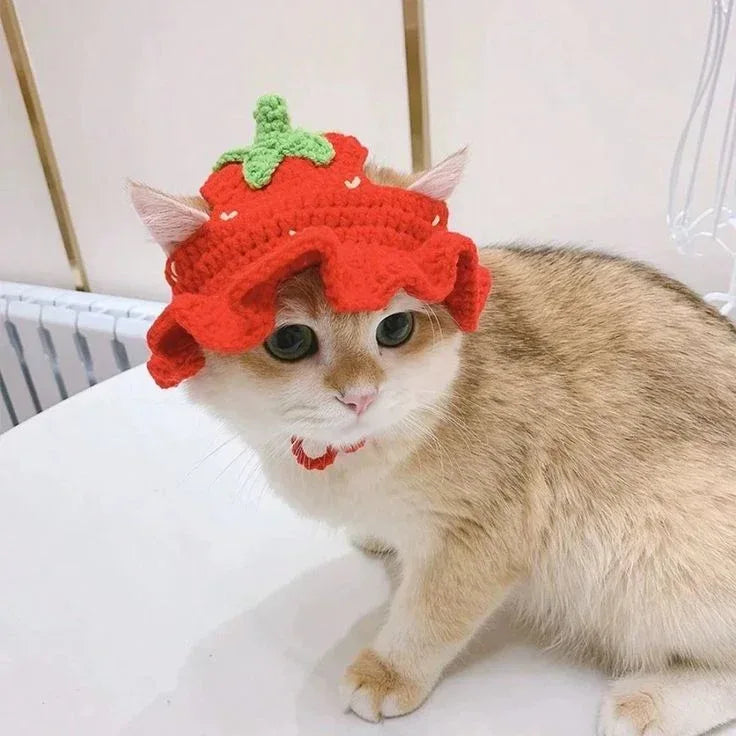 Handmade Crochet Cat Hat – Cute, Warm & Comfortable Pet Accessory - Eazzy Store